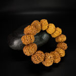 10 Mukhi Rudraksha Bracelet - Image 2