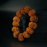 10 Mukhi Rudraksha Bracelet - Image 3