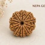 10 Mukhi Rudraksha