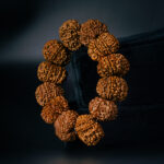 11 Mukhi Rudraksha Bracelet - Image 3