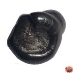 Harihara Shaligram