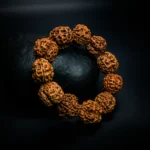 3 Mukhi Rudraksha Bracelet - Image 2