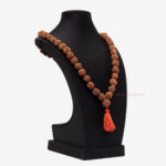 3 Mukhi Rudraksha Kantha - Image 2