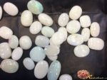 Opal - Image 2