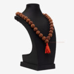 4 Mukhi Rudraksha Kantha - Image 2