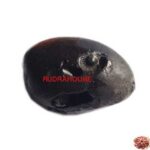 Laxmi Narayan Sudarshan Shaligram