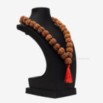 5 Mukhi Rudraksha Kantha - Image 2