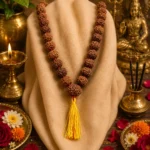 6 Mukhi Rudraksha Kantha