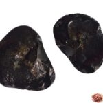 Sudarshan Shaligram