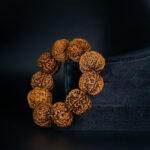 7 Mukhi Rudraksha Bracelet - Image 2