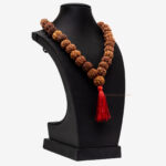 7 Mukhi Rudraksha Kantha - Image 2