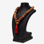 7 Mukhi Rudraksha Kantha - Image 3