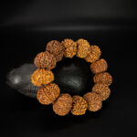 9 Mukhi Rudraksha Bracelet - Image 2