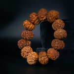 9 Mukhi Rudraksha Bracelet - Image 3