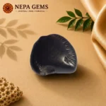 Achyut Shaligram