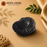 Aniruddha Shaligram