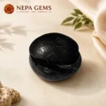 Damodar Kunda Shaligram