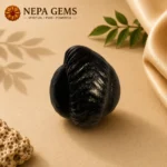 Hayagriva Shaligram