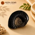 Janardhan Shaligram