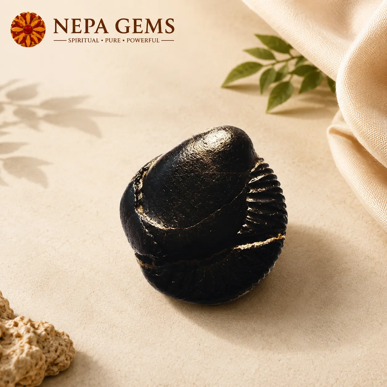 Janeudhari Shaligram Janeudhari Shaligram - Image 1