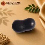 Krishna Paduka Shaligram