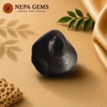 Kurma Shaligram