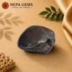 Laxmi Narayan Shaligram