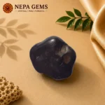 Purushottam Shaligram