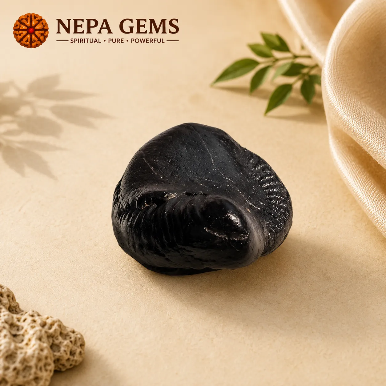 Shesha Naag Shaligram Shesha Naag Shaligram - Image 1