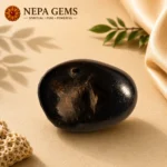Varaha Shaligram