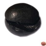 Damodar Kunda Shaligram