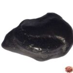 Kalki Shaligram