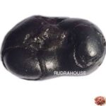 Padmanabha Shaligram