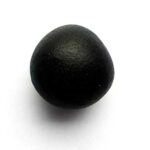 Gopal Shaligram