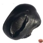 Ananta Shaligram