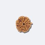 Ganesh Rudraksha - Image 2