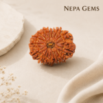 16 Mukhi Rudraksha