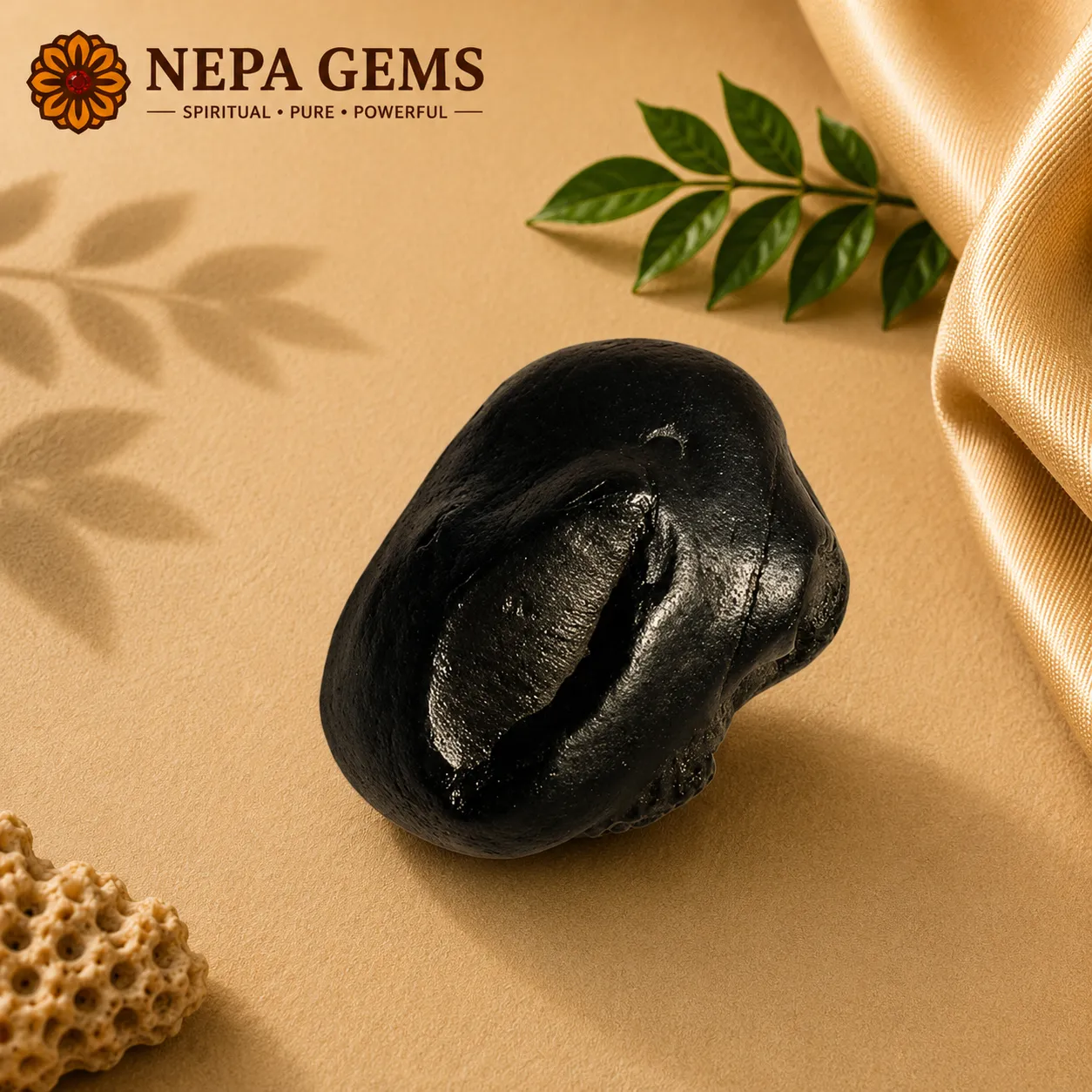 Ananta Shaligram Ananta Shaligram - Image 1