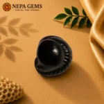 Buddha Shaligram