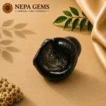 Harihara Shaligram