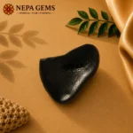 Matsya Shaligram