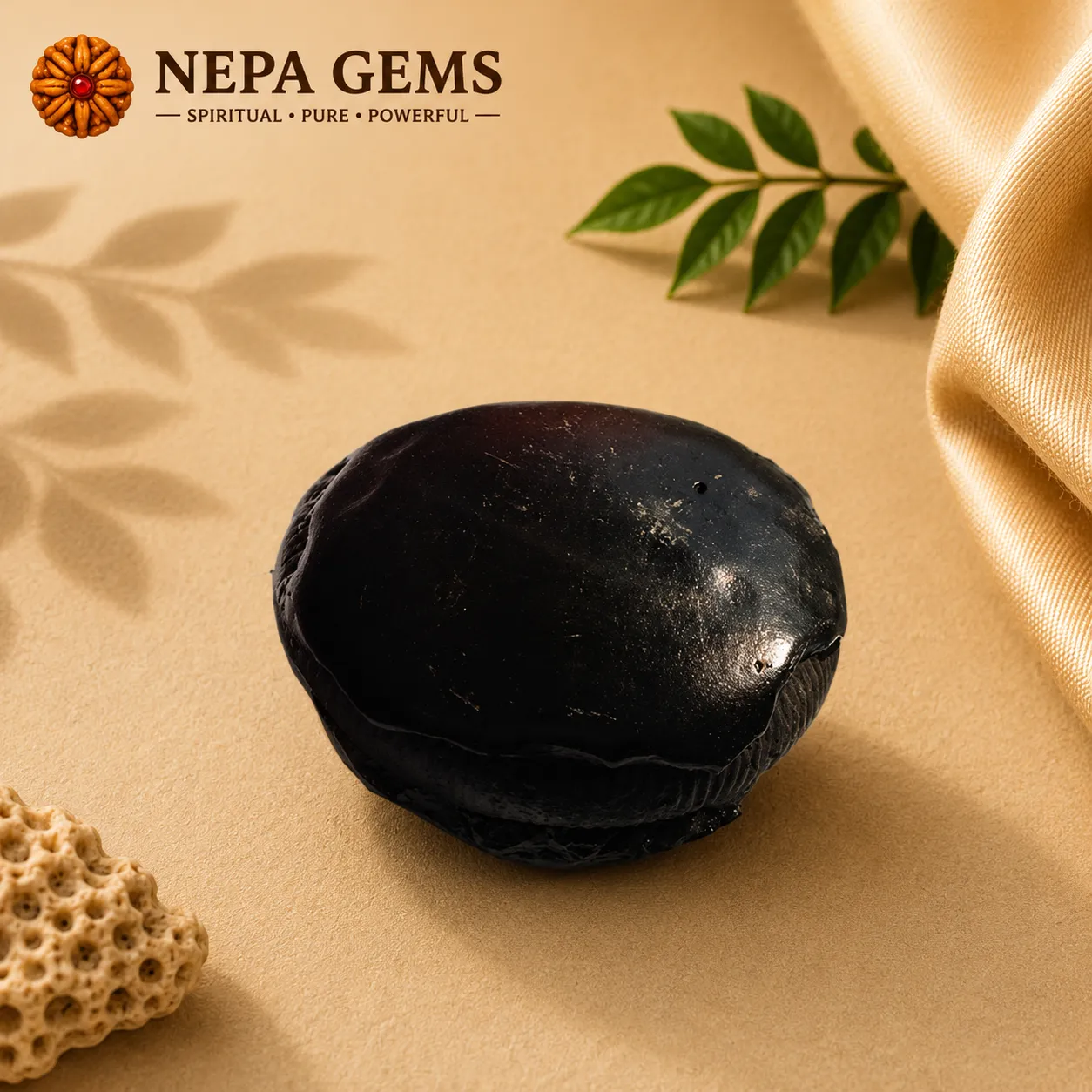 Narasimha Shaligram Narasimha Shaligram - Image 1