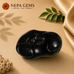 Padmanabha Shaligram