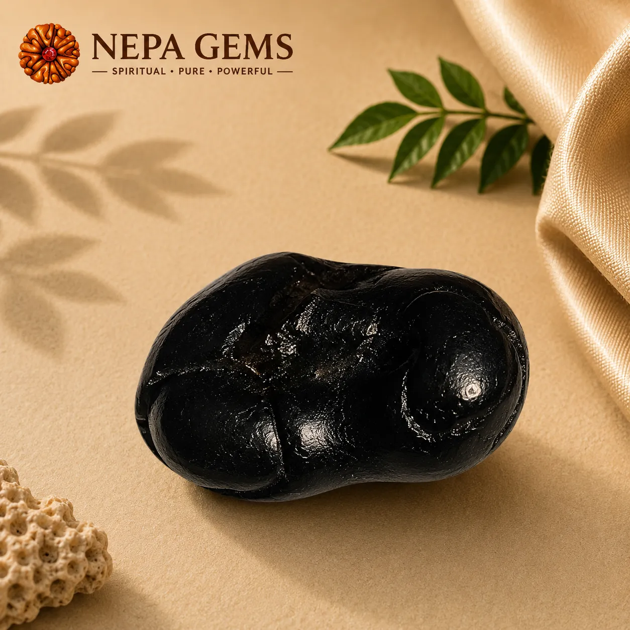 Padmanabha Shaligram Padmanabha Shaligram - Image 1