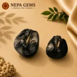 Shiva Shaligram