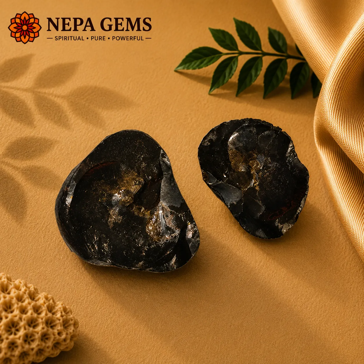 Sudarshan Shaligram Sudarshan Shaligram - Image 1