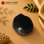 Surya Shaligram