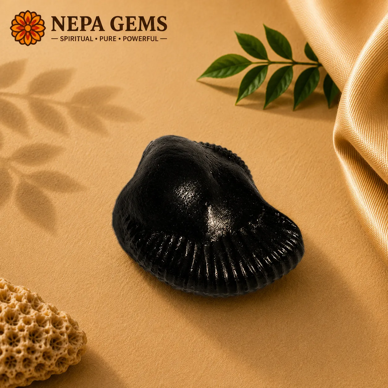 Vasudeva Shaligram Vasudeva Shaligram - Image 1